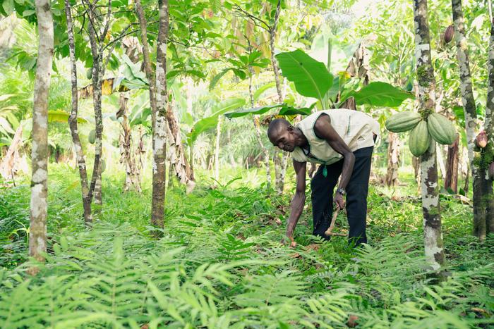 La tutela dell’ambiente nei paesi ricchi potrebbe accelerare le estinzioni altrove