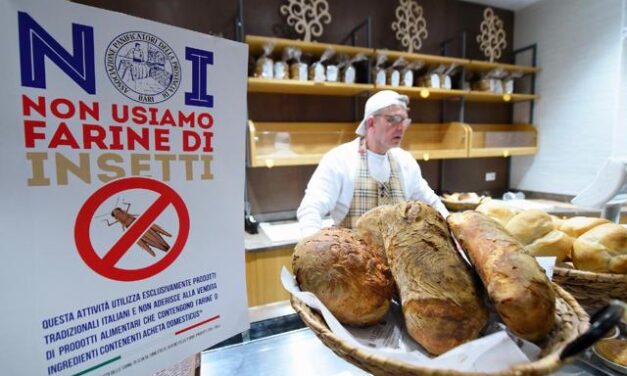Shock anafilattici e maggiore inquinamento: ecco gli effetti della farina di insetti