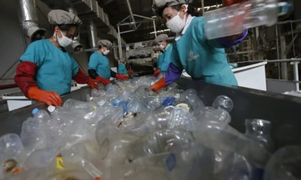 La nuova plastica che scompare naturalmente nel tempo che stabiliamo: svolta ecologica o nuova obsolescenza programmata?